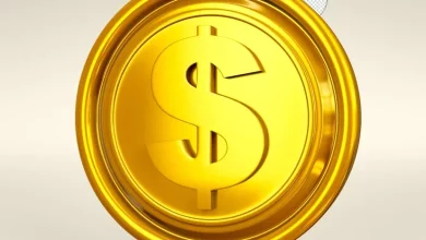 a gold coin with a dollar sign